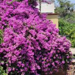 20241225 En camino-on the way-unterwegs-003