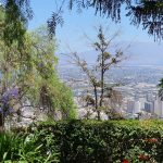 20250101 En camino-on the way-unterwegs-009