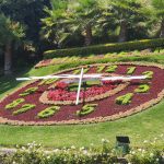 20250111 En camino-on the way-unterwegs-014