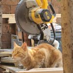 20250121 Tiroconarco-archery-Bogensport-007