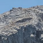 20250129 En camino-on the way-unterwegs-018