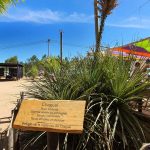 20250202 En camino-on the way-unterwegs-023