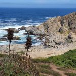 20250202 En camino-on the way-unterwegs-024