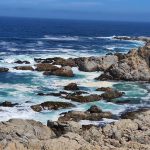 20250202 En camino-on the way-unterwegs-025