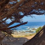 20250202 En camino-on the way-unterwegs-027