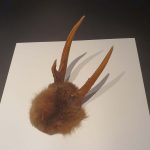 20230827 Zürich (16)