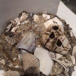 20230827 Zürich (20)