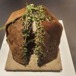 20230827 Zürich (27)